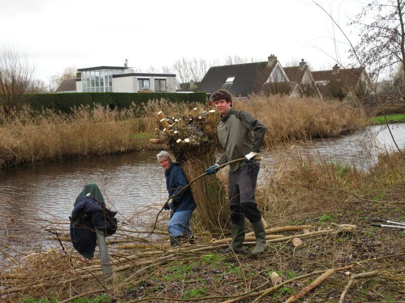 2020-01-04-helofytenfilter-uithoorn (19)